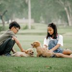 10 คำถามยอดฮิตเกี่ยวกับการตั้งท้องในสุนัข (ตอนที่ 10 : เมื่อไหร่ควรจะพาเค้ามาให้คุณหมอช่วยคลอด)