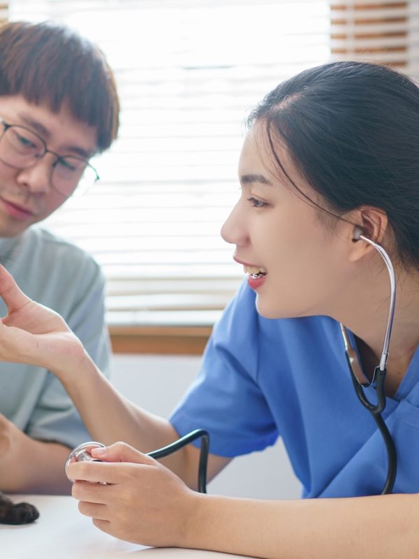 Pet care concept, Female veterinary use stethoscope to check health of the cat in vet clinic Pet care concept, Female veterinary use stethoscope to check health of the cat in vet clinic.